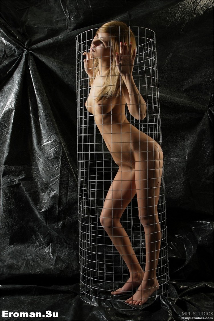 Красавица в клетке