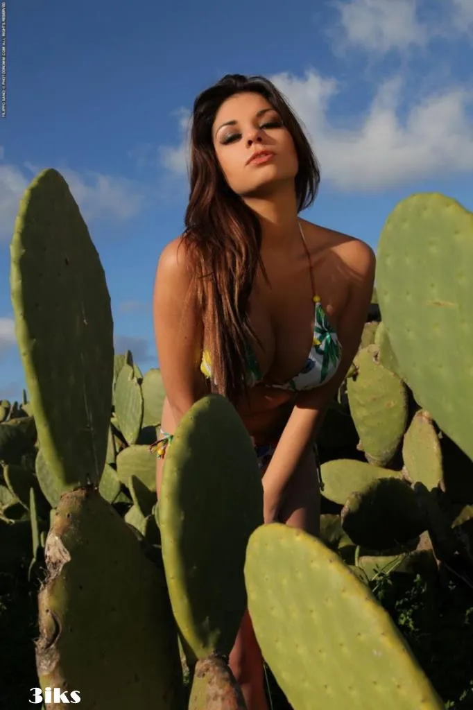Фотосессия Красотка среди кактусов