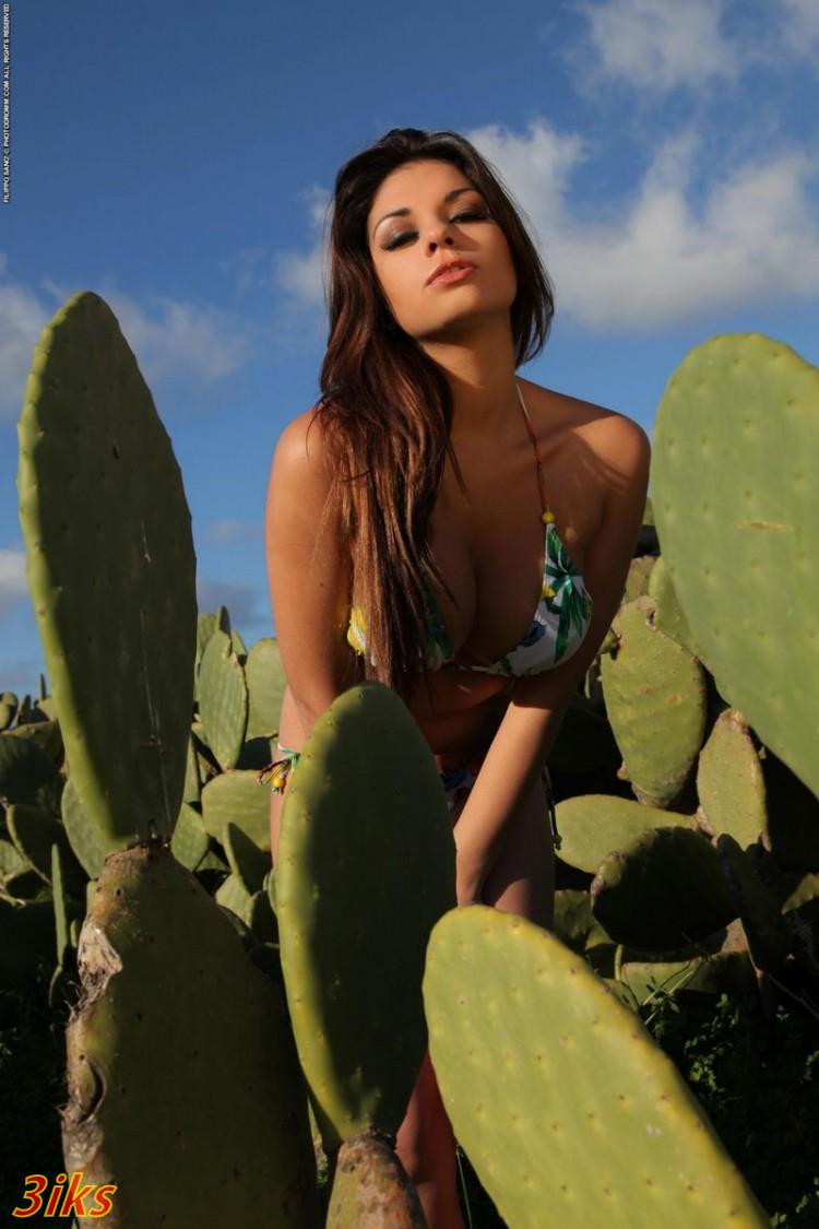 Голенькая красотка среди кактусов-1