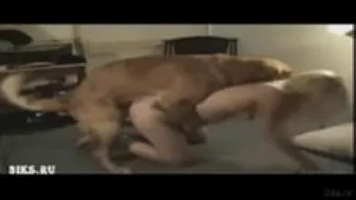 Полёт с ангелом