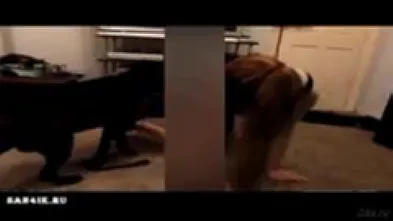 Неугомонный Imbir