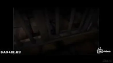 The prison elf