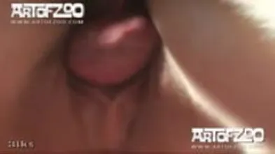 Суэно дель Перро