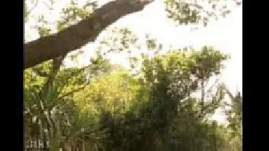 Голая на качели